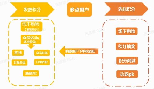 多点Talk 产品经理说 为什么 会员系统 是数字化转型的排头兵