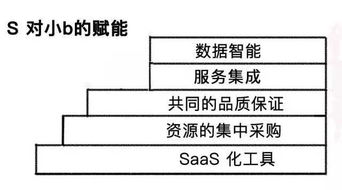 s2b2c电商模式创新,云集微店为何成典型案例